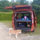 Ford Custom Pack: Bed Frame + Folding Mattress photo review